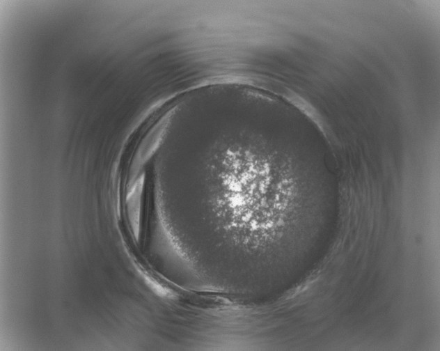 X0000069361127200605261952