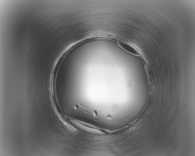 X0000069361128200605261952