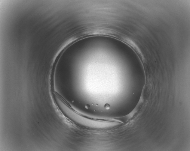 X0000069361138200605261952