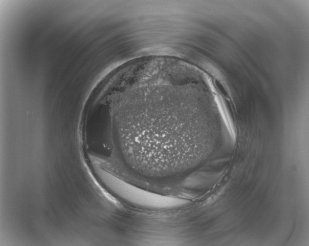 X0000069361141200605261952