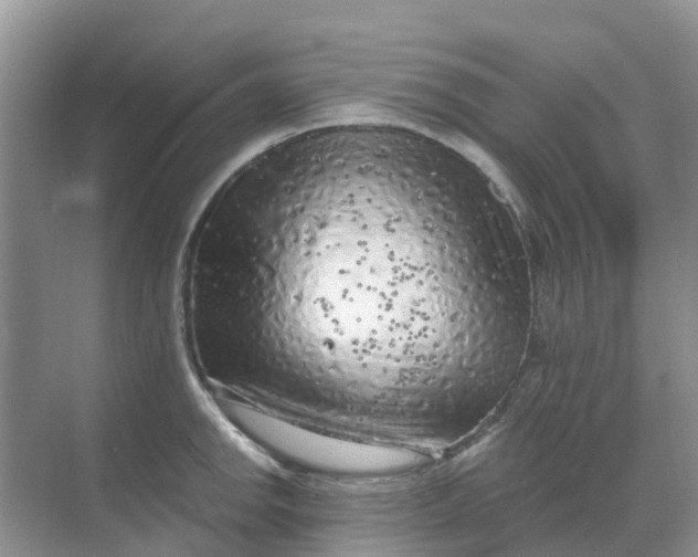 X0000069361142200605261952