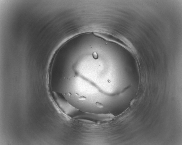 X0000069361144200605261952