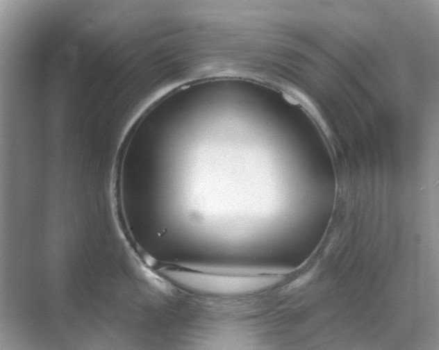 X0000069361149200605261952