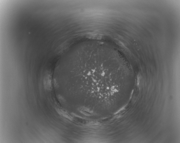 X0000069361154200605261951