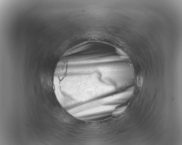 X0000069361155200605261951