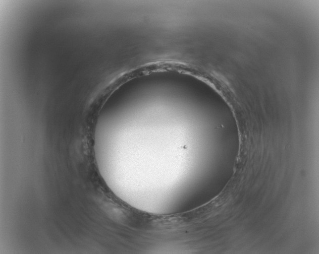 X0000069361159200605261951