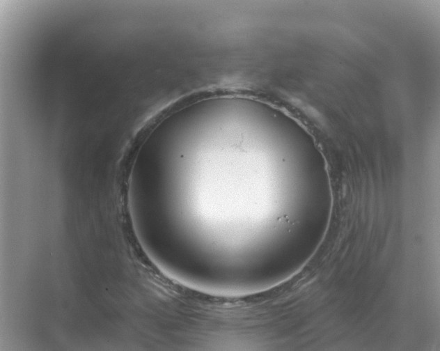 X0000069361160200605261951