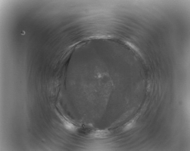 X0000069361161200605261951