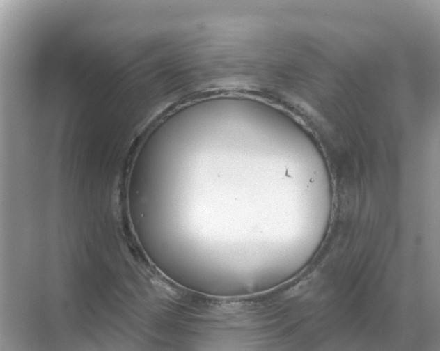 X0000069361162200605261951