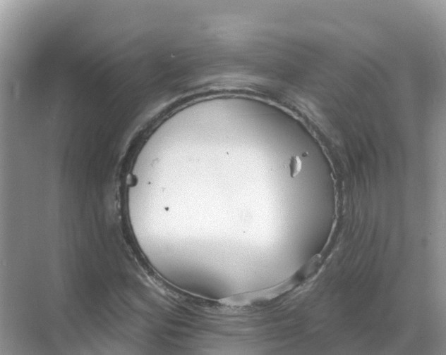 X0000069361164200605261951