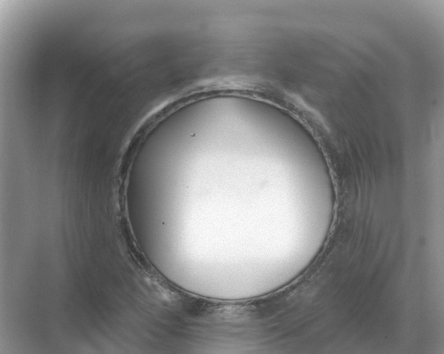 X0000069361166200605261951