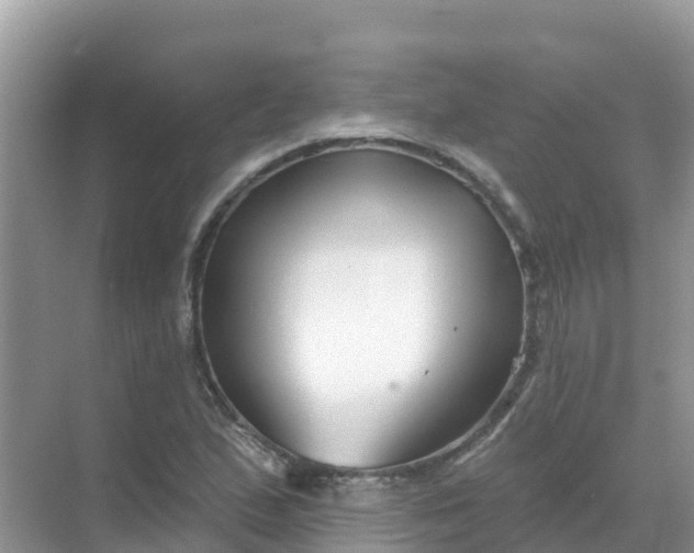 X0000069361167200605261951