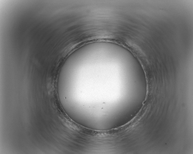 X0000069361169200605261951