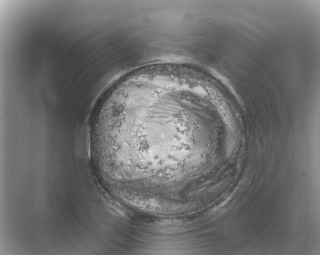 X0000069361171200605261951