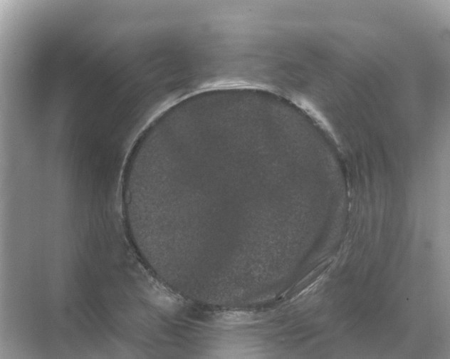 X0000069361173200605261951