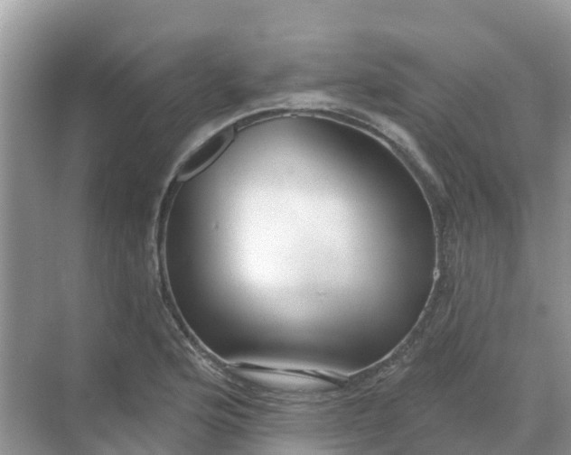 X0000069361176200605261951