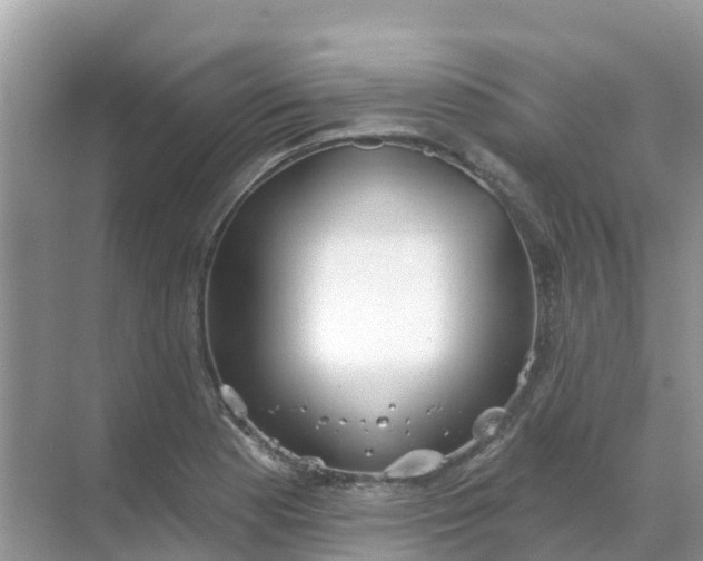 X0000069361177200605261951