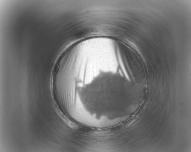 X0000069361179200605261951