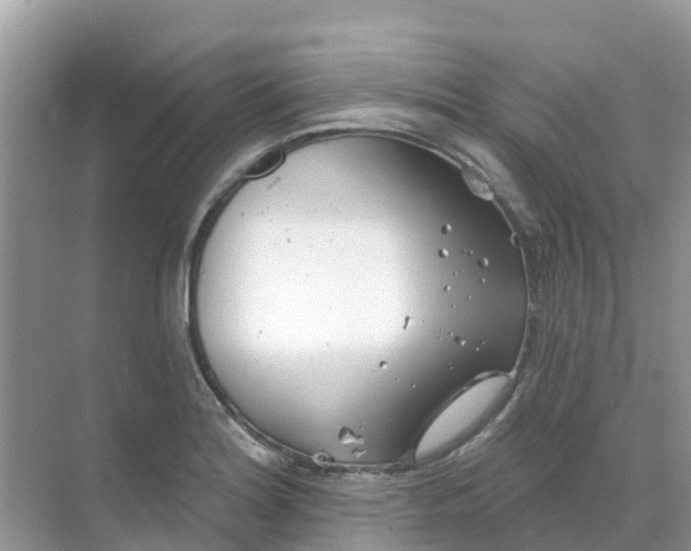 X0000069361180200605261951