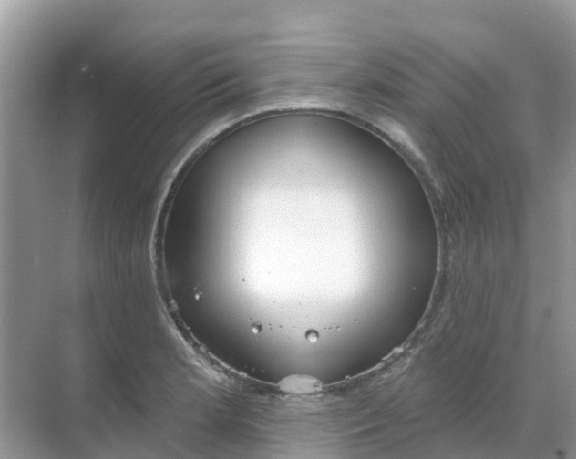 X0000069361181200605261951