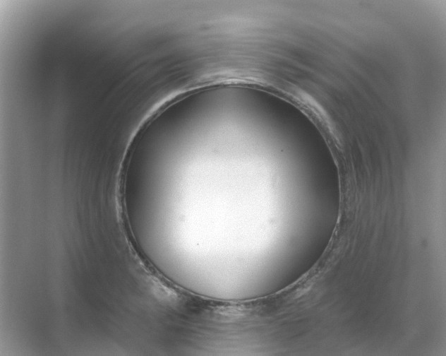 X0000069361182200605261951