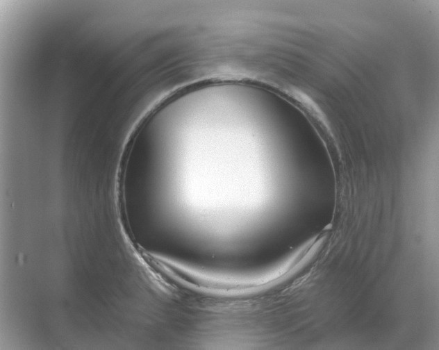 X0000069361183200605261951