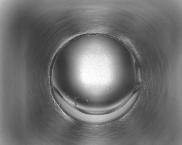 X0000069361184200605261951