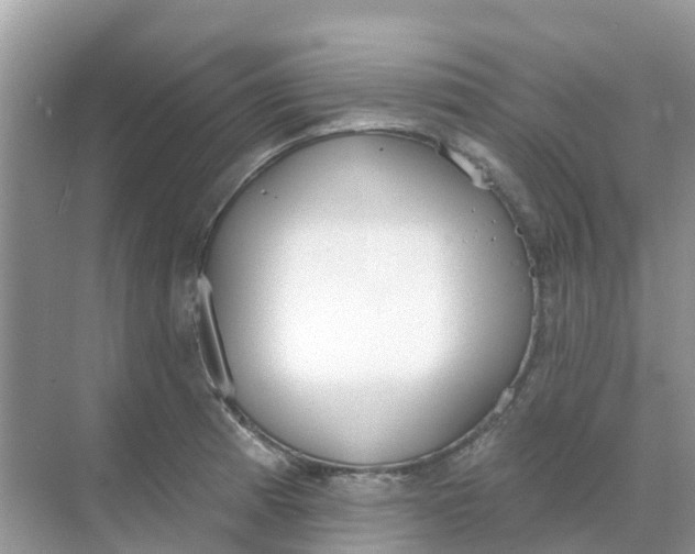 X0000069361185200605261951