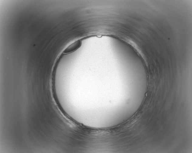 X0000069361187200605261951