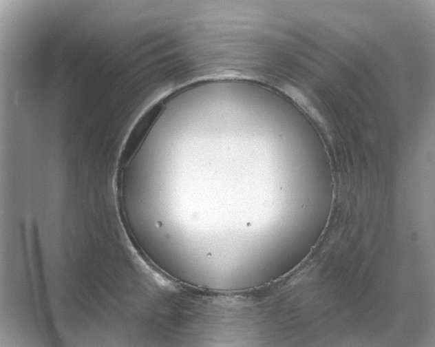 X0000069361189200605261951