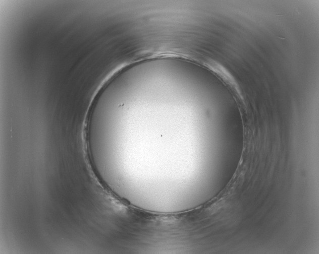 X0000069361190200605261951