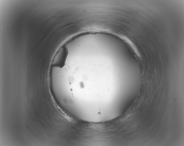 X0000069361191200605261951