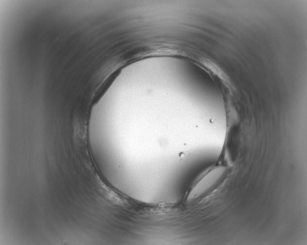 X0000069361193200605261951