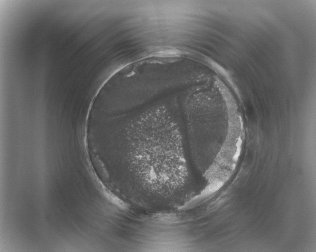 X0000069361194200605261950