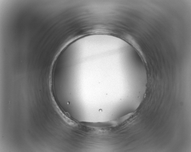 X0000069361195200605261950