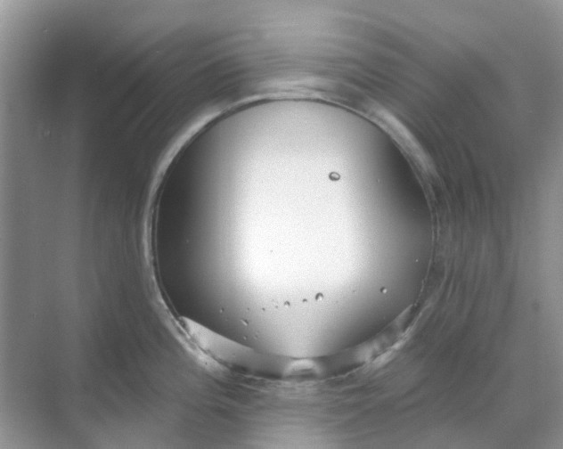 X0000069361196200605261950