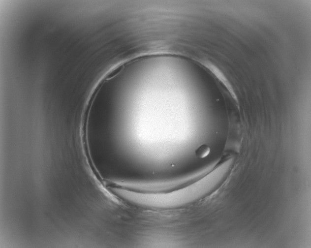 X0000069361197200605261950