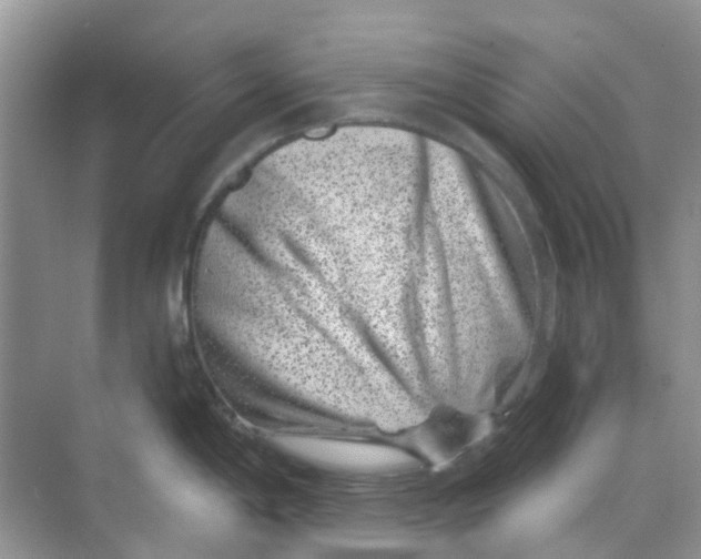 X0000069361198200605261950