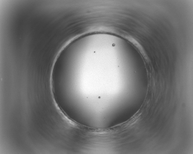 X0000069361199200605261950