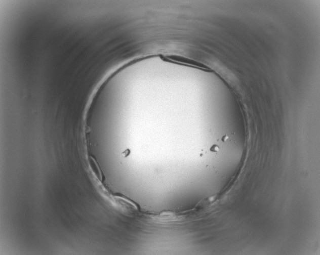 X0000069361200200605261950