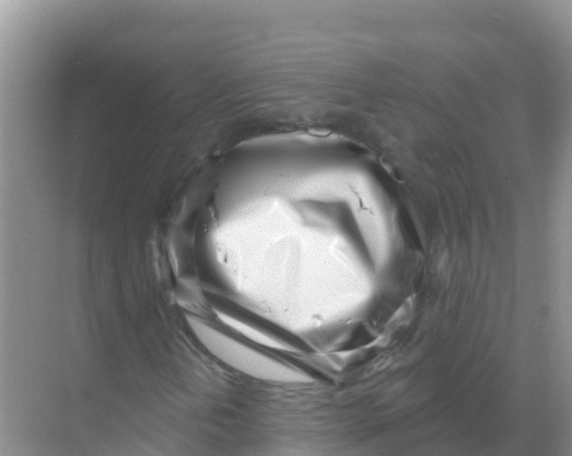 X0000069361202200605261950