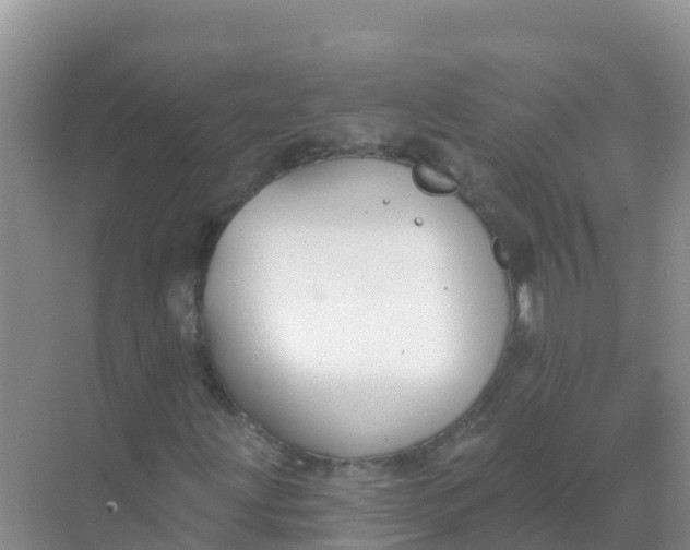 X0000069361203200605261950