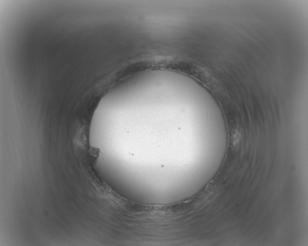 X0000069361204200605261950