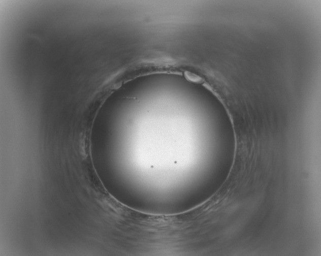 X0000069361205200605261950