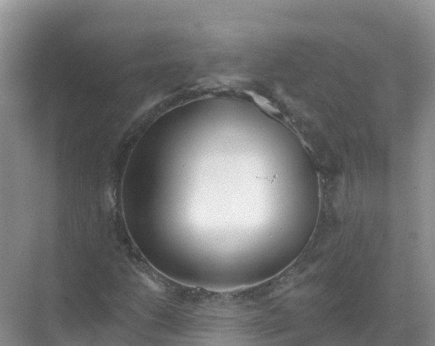 X0000069361206200605261950