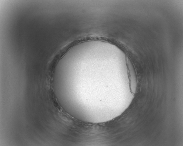 X0000069361207200605261950