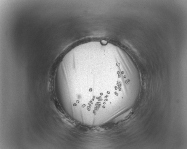 X0000069361208200605261950