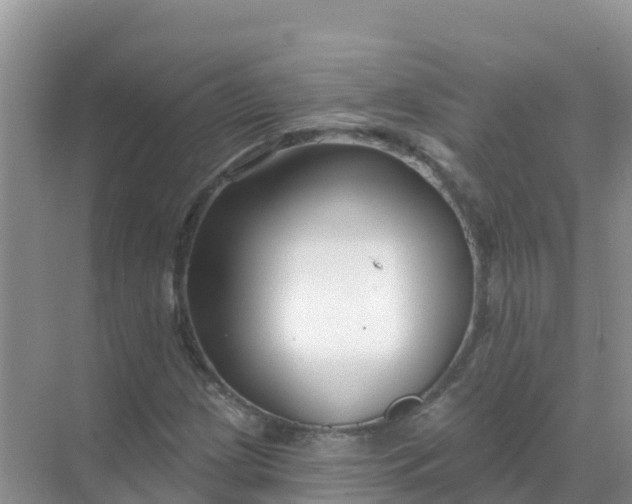 X0000069361209200605261950