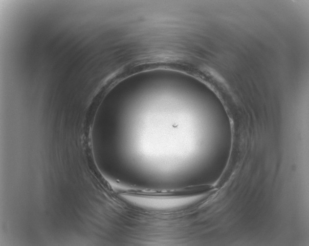 X0000069361210200605261950