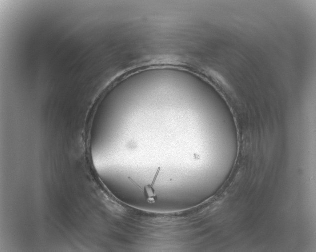 X0000069361212200605261950